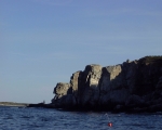 Whitehead-ico.jpg (12764 bytes)
