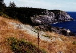 monhegan-ico.JPG (20079 bytes)